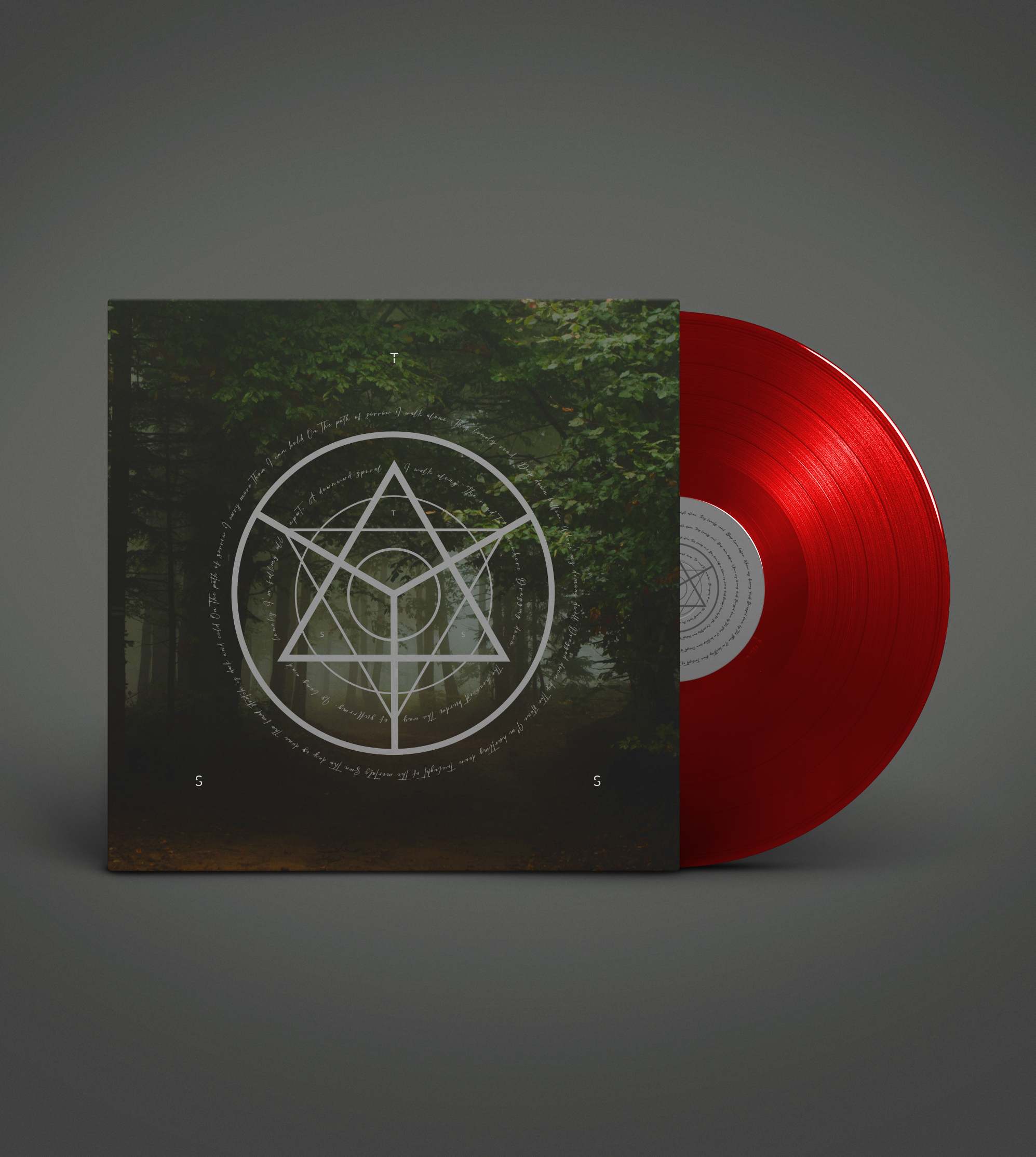 The Secret Society — vinil